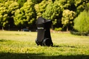 Scooter Protect Cover For Lite - Image 1
